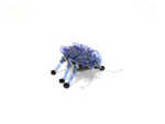 HexBug Bogár Charlie