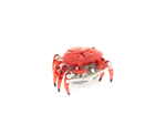 HexBug Rák Piros