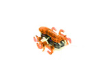 HexBug Hangya Narancs