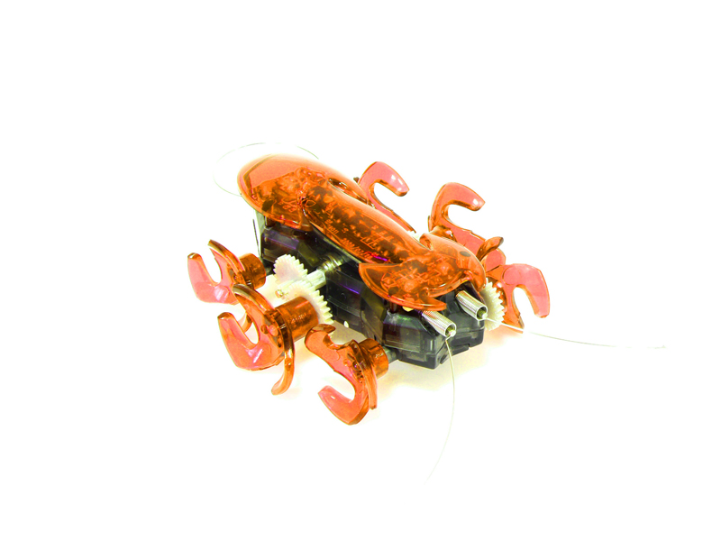 HexBug Hangya Narancs, 2.990 Ft